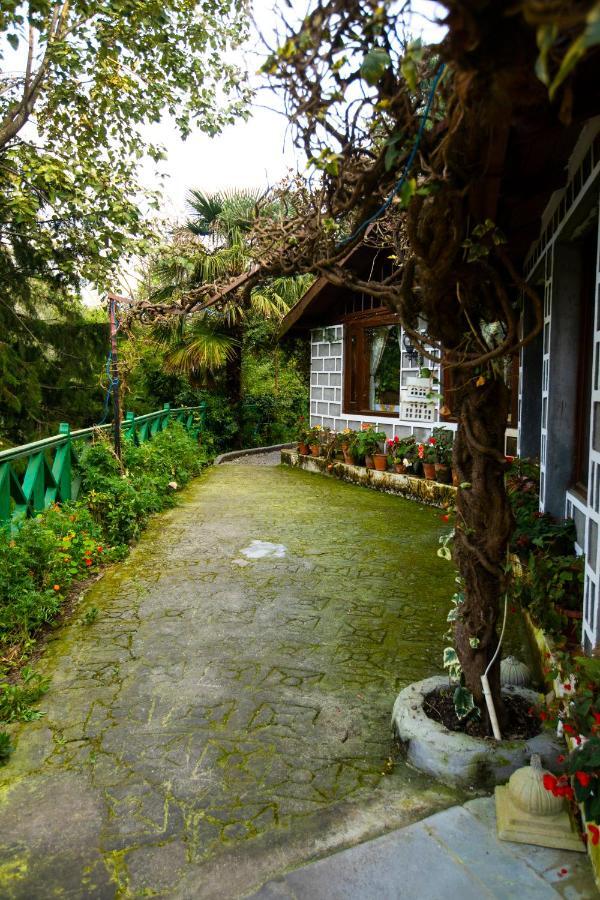 The Hive Cottage Nainital Bagian luar foto